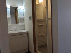 富士吉田市街のホテル的一间带水槽和镜子的小浴室