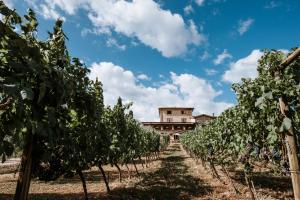 PiglioCasale Verdeluna Wine Resort的相册照片