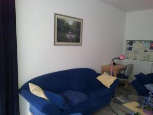 巴德茨维什安Ferienhaus Alte Straße的客厅配有蓝色的沙发和桌子