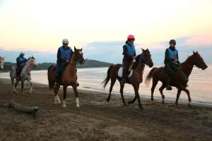 蓬塔阿拉Punta Ala - Tra mare e natura的一群人在海滩上骑马
