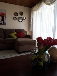 阿拉胡埃拉Kubo Apartment的客厅配有沙发和花瓶(桌子上)