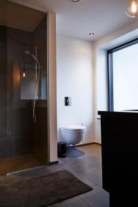 奥胡斯Amaliegade 10 B的带淋浴、浴缸和卫生间的浴室