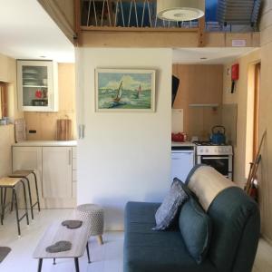 考斯Tiny Home cabin Eilidh的带沙发的客厅和厨房