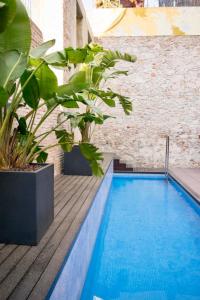巴塞罗那奧尼克斯里塞欧酒店的木甲板上的植物游泳池
