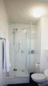罗伊特林根FREE Apartment - Bei der Markthalle的带淋浴和卫生间的浴室