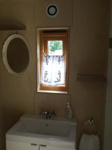 考斯Tiny Home cabin Eilidh的一间带水槽和窗户的浴室