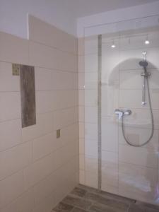 EtmisslBiohof Sattler的带淋浴的浴室和玻璃门