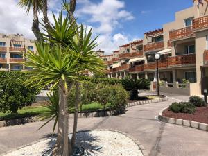 厄尔梅达诺Vista Roja的一座建筑的庭院里的棕榈树
