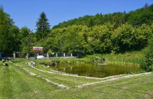 NagyvisnyóFónagy Apartmanok的草场中央的池塘