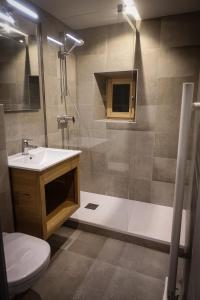 圣若里奥Auberge Les Tilleuls的带淋浴、盥洗盆和卫生间的浴室