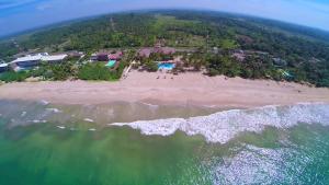 本托塔棕榈语酒店的享有海滩空中美景和度假胜地