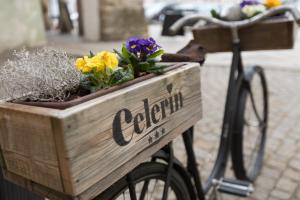 泰尔奇塞勒林酒店的一辆自行车后面的木板条箱,上面有鲜花