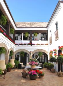 科尔多瓦拉波萨达德皮拉尔套房公寓的一座种植盆栽植物的建筑的庭院