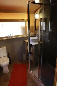 莫塔卡玛斯特拉Glamping Alcantara的浴室配有卫生间、盥洗盆和淋浴。