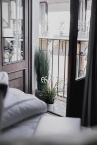 马德里room Select Sol的一间卧室配有一张床和一个植物窗户