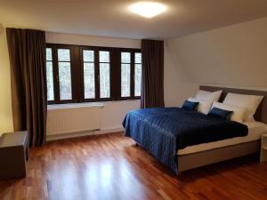 达姆施塔特Oberwaldhaus的一间卧室设有一张床和一个大窗户