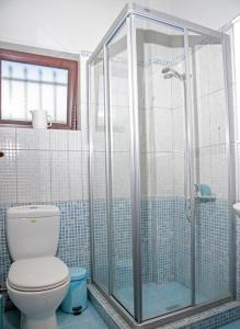 StróponesHouse Evia的一间带卫生间和玻璃淋浴间的浴室