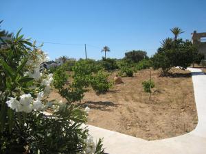 米多恩Ranch Tanit Djerba的山坡上种有树木和花卉的花园
