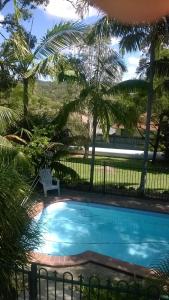 黄金海岸Cosy, self-contained and central to everywhere的一个带椅子和棕榈树的庭院内的游泳池