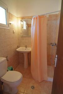 斯达林Joy Hotel的浴室配有卫生间、盥洗盆和淋浴。