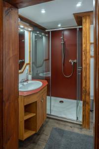 福森阿拉特湖餐厅酒店的一间带水槽和淋浴的浴室
