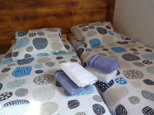科米扎Country House Speedy的两张带枕头和毛巾的床