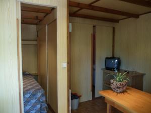 艾因萨艾因萨露营旅馆的相册照片