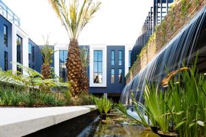 温特和克The Weinberg Windhoek的棕榈树庭院和建筑