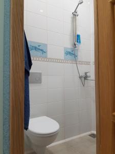 喀琅施塔得Прибой的一间带卫生间和淋浴的浴室