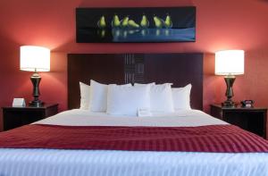 Fremont哈灵顿酒店的一间卧室配有一张大床和两盏灯