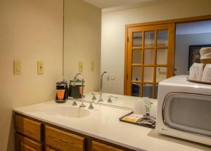 Fremont哈灵顿酒店的一间带水槽和微波炉的浴室