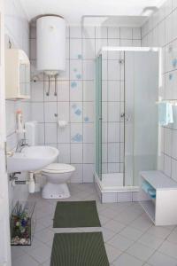 比佐瓦茨私人住宿及乡村旅游“苏达尔”公寓的一间带水槽、卫生间和淋浴的浴室