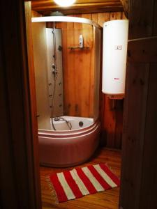MeeksiPeramaa Puhkekeskus的带淋浴和浴缸的浴室