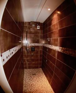 索泰尔纳特里温庄园旅馆的带淋浴的浴室和棕色瓷砖墙壁