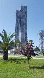 巴统Premium apartment in Porta Batumi Tower的公园里高大的建筑中的棕榈树