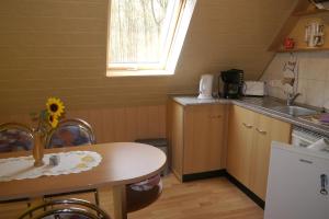 奥斯特巴特宁哈根Wohnung 1的一个带桌子和水槽的小厨房