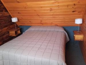 普埃洛湖CABAÑAS LOS PATOS的一间卧室配有一张带两张台灯的床铺。