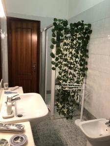 罗马Ottaviano Lodge的墙上有水槽和植物的浴室