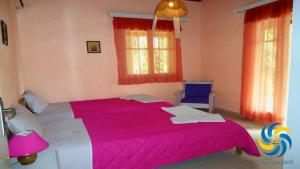 阿普索斯Errika的一间卧室配有一张带粉色毯子的大床