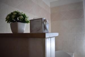 圣费利切-奇尔切奥Casa vacanze Via Roma的一间带卫生间的浴室和台面上的植物