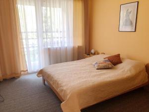 Ķegums瑞兹亚旅馆的一间卧室设有一张床和一个大窗户