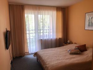 Ķegums瑞兹亚旅馆的一间卧室设有一张床和一个大窗户