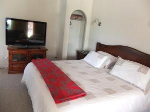 派罗阿Casa Mexicana的一间卧室配有一张床和一台平面电视