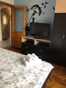 德罗贝塔-塞维林堡Blue Apartment的一间卧室配有电视和一张带毛巾的床。