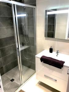 勒·雷约尔·卡纳德尔·苏尔T2 Moderne avec jardin的带淋浴和盥洗盆的浴室