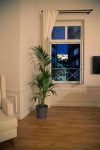 雅典Four Streets Athens - Luxury Suites Apartments in Athens的窗户客厅里的植物