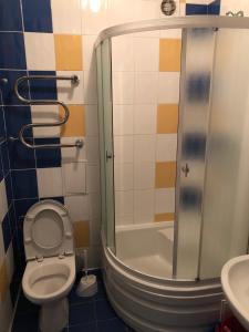 特鲁斯卡韦茨Вілла Анастасія的带淋浴、卫生间和盥洗盆的浴室