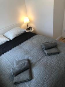 比亚韦斯托克CR Przytulny Apartament przy Pałacu Branickich的一间卧室配有一张带两个枕头的床