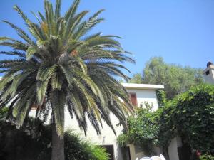 卡拉古诺内Agriturismo Su Tiresi的一座建筑前的棕榈树