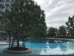 七岩Blu Condo (Chaam - Huahin)的坐在游泳池前的树